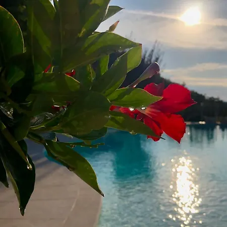 Chalet Vela Natura E Relax *