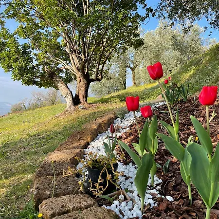 Vela Natura E Relax בקתה גאוורדו